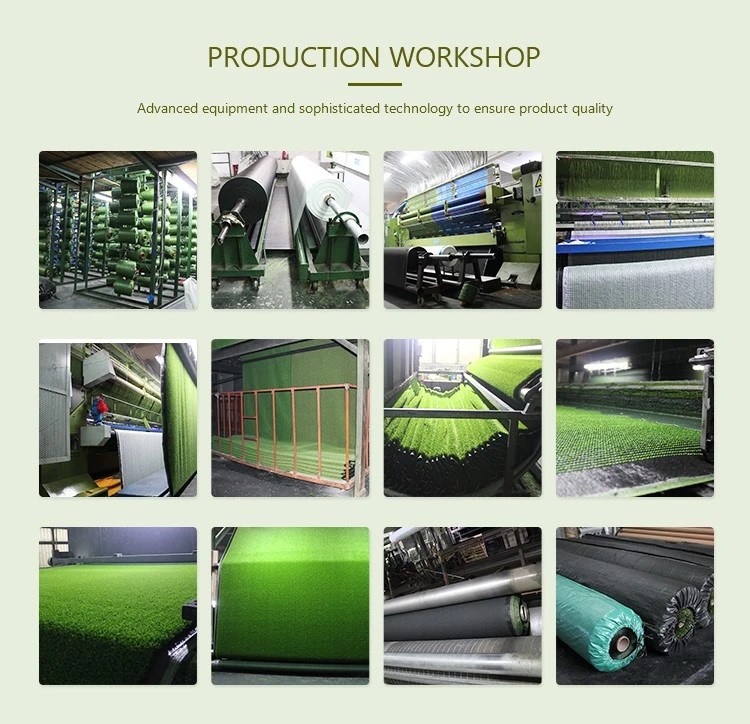 HTB1EW8X9CWBuNjy0Fhq6z6EVXay HTB1EW8X9CWBuNjy0Fhq6z6EVXay